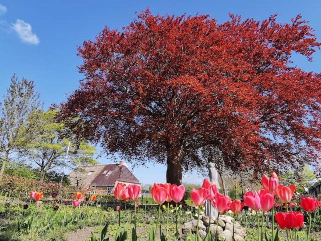 B&B Klassiek Twijzelerheide Buitenkant foto